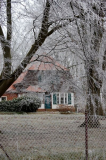 Wintereinbruch auf Hiddensee