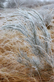 Winterzauber auf Hiddensee