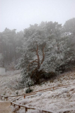 Wintereinbruch auf Hiddensee