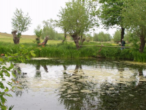 Teich in Kloster