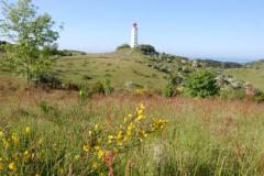 Leuchtturm Dornbusch 2009