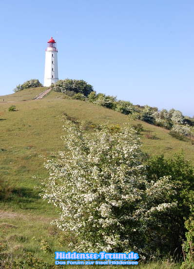 Leuchtturm Dornbusch 2009