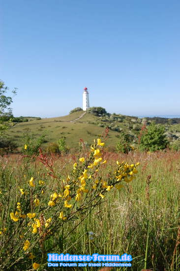 Leuchtturm Dornbusch 2009