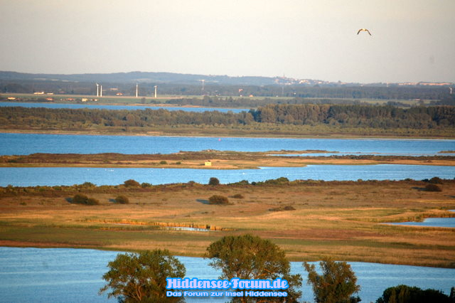 Blicke nach Rügen