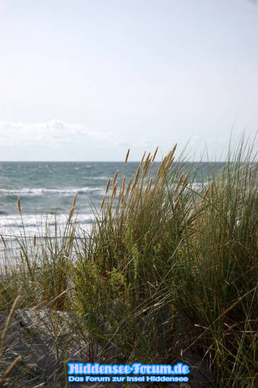 zwischen Strand und Land