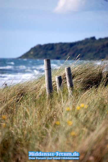 zwischen Strand und Land