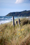 zwischen Strand und Land