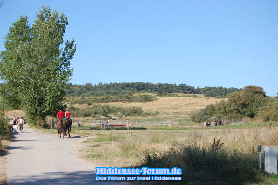 Trockenheit 2009 (Wie jedes Jahr)