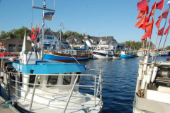 Hafen in Vitte 2009