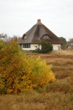 Herbst in der Heide