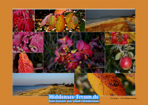 Herbst Insel Hiddensee