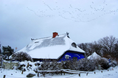 Im Winter fängt die Scheune zu LEUCHTEN an