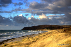 Strand mit Wind im November