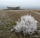 Eiszeit  von Hiddensee....Stille