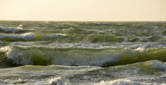 Windstärken..am Strand