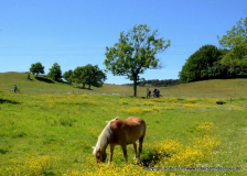 Landschaft im Norden