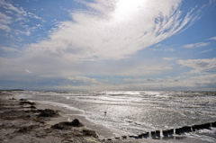 Am Strand im Gegenlicht...