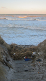 Strandgut vom letzten Sturm..