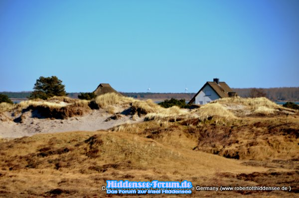 Hiddensee und seine Dünen