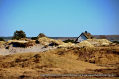 Hiddensee und seine Dünen