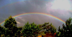 Regenbogen Süderende