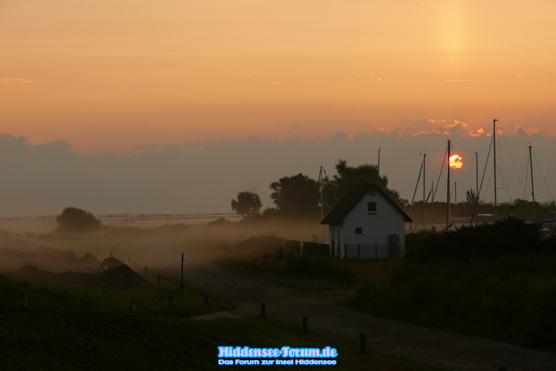 Nebel am Morgen