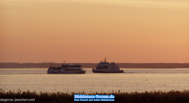 Morgens am Bodden