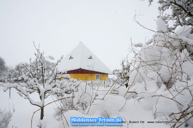 Schneesturm Feb.2021 Vitte