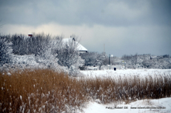 Winterliches Vitte 2021 Feb.