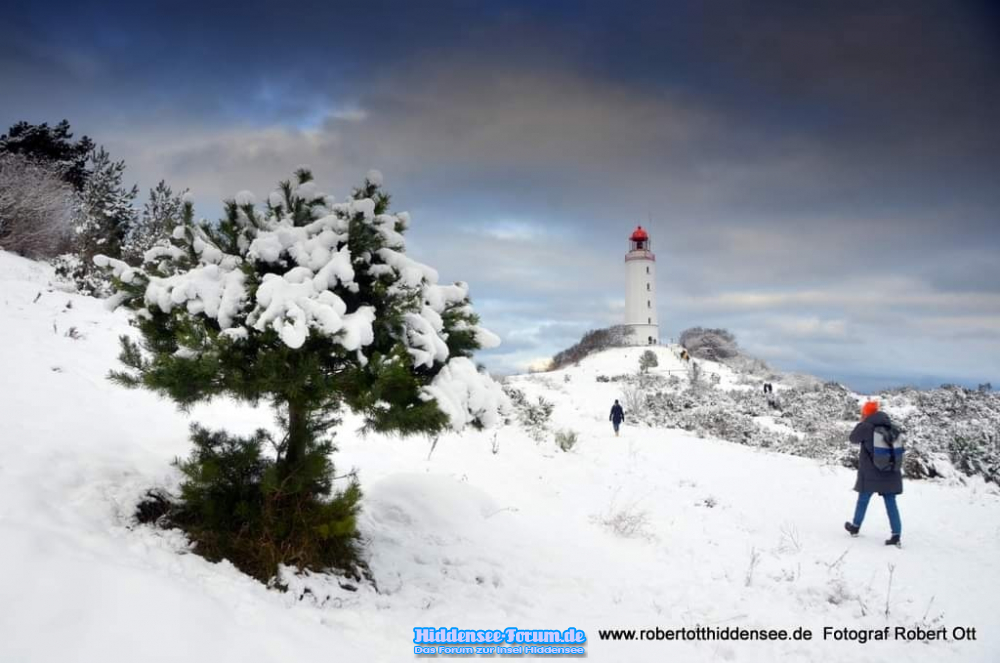 Wintertraum-Leuchtturm Dornbusch DEZ. 2023