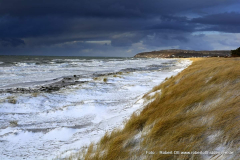 Strand im Winter