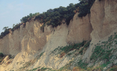 Das Kliff