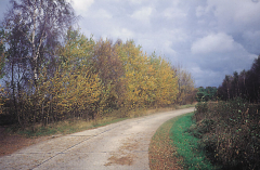 Der Weg nach Neuendorf