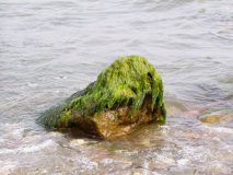 Wenig Wasser in der Ostsee